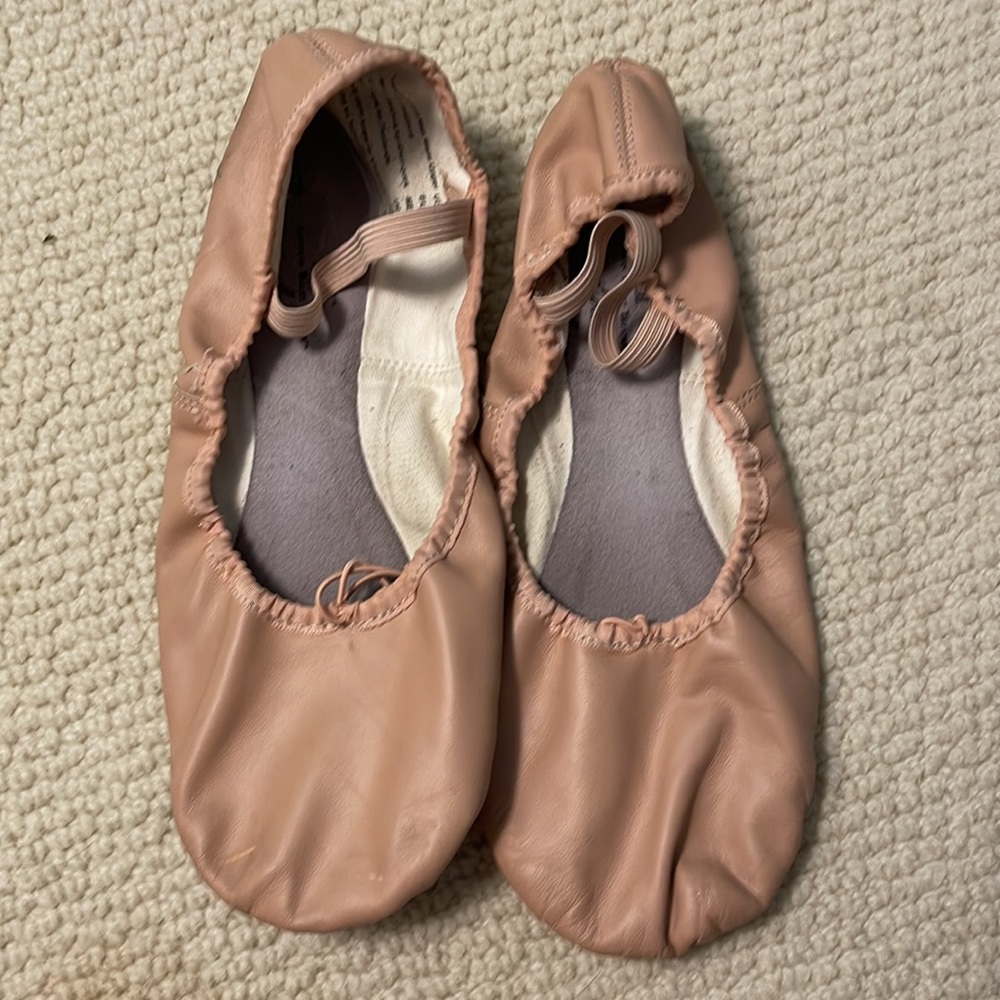 American Ballet Theatre dance shoes